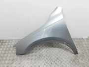 Kotflügel vorne links