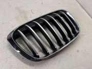 Vorderer oberer Gitter BMW X1 (F48) sDrive 16 d 7354824