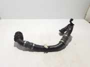 Schlauch für Luftversorgung Renault Scenic IV (J9) 144606194R