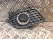 Gitter vorne unten MERCEDES-BENZ A (W169) A 150 (169.031, 169.331) a1698850822 1698850822
