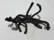 Wasserkühlerschlauch rechts RENAULT LAGUNA III (BT0/1) 2.0 dCi GT (BT1E, BT1N) 924000004N