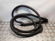 Türdichtungsgummi vorne links AUDI A5 Sportback (8TA) 3.0 TDI quattro 8T8831707C