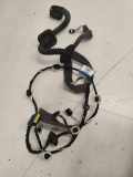 Türverkabelung hinten links RENAULT LAGUNA III Grandtour (KT0/1) 1.5 dCi (KT0A) 00175550 241261967R