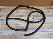 Türgummi links hinten Toyota Corolla Verso (R1)