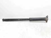 Stoßdämpfer hinten links