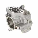 Vakuumpumpe VW ARTEON (3H7) 2.0 TSI 06N145100E