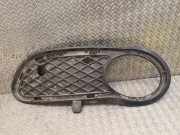 Gitter Grill vorne links MERCEDES-BENZ C Coupe (CL203) C 200 Kompressor (203.742) 2038850923