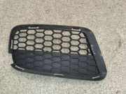 Gitter vorne unten BMW X1 (E84) xDrive 18 d 7845542