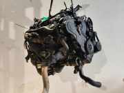 Motor LANCIA PHEDRA (179_) 2.0 JTD (179AXB1A) 0 445 010 021
