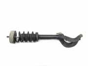 Stoßdämpfer vorne rechts BMW X5 (F15, F85) xDrive 50 i 19484310 DV685174902