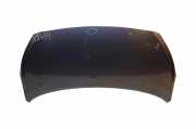 Motorhaube Hyundai i10 (IA)