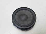 Türlautsprecher vorne links