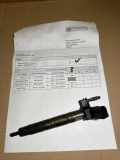 Einspritzdüse BMW X5 (E70) xDrive 30 d 2B5NF17