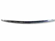 Gitter FORD MONDEO IV Turnier (BA7) 1.8 TDCi 575040080