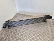 Ladeluftkühler Ford C-Max () 3M5H9L440AE