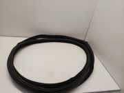 Türgummi rechts vorne BMW 6er Coupe (F13)