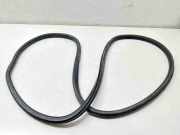 Türdichtung VW Caddy III Kasten (2KA)