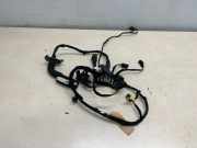 Kabel Tür Audi A6 (4F, C6) 4G5971029G