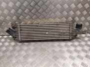 Ladeluftkühler NISSAN PRIMERA (P12) 2.2 dCi