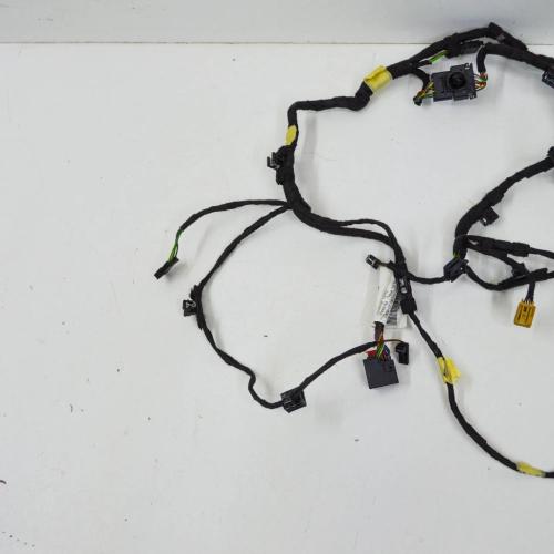 Türverkabelung hinten rechts AUDI A8 D4 (4H_) 3.0 TFSI quattro 4H0971142D Bild Türverkabelung hinten rechts AUDI A8 D4 (4H_) 3.0 TFSI quattro 4H0971142D