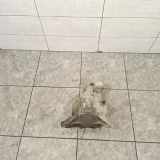 Differenzialgetriebe hinten