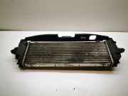 Ladeluftkühler Renault Trafic II Bus (JL) 8200411160