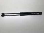 Heckklappe Gasdruckfeder links MERCEDES-BENZ A (W169) A 160 CDI (169.006, 169.306) A1697400045