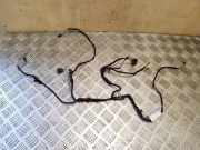 Türverkabelung hinten links AUDI A6 (4G2, C7, 4GC) 3.0 TDI quattro 4G5971693A