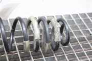 Feder links hinten Ford EcoSport ()