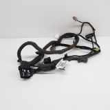 Kabel Tür Ford Focus III (DYB) F1ET14A584CDH