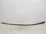 Rechte Dachleistenverkleidung MERCEDES-BENZ S (W221) S 320 CDI (221.022, 221.122) A2216900880 A2216900880