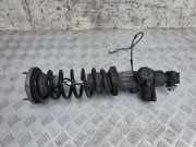 Stoßdämpfer links hinten BMW 6er Cabriolet (F12) 6850963