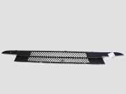 Gitter vorne unten BMW 1 (E81) 120 d 7182367