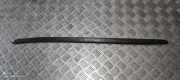 Zierleiste Windschutzscheibe Frontscheibe BMW X5 (F15, F85) xDrive 40 d 108115