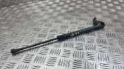 Heckklappendämpfer links BMW 1er (E87)