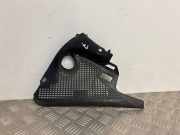 Grill Windlauf Renault Grand Scenic III (JZ) 668630009R