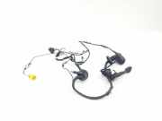 Kabel Tür Audi A6 Avant (4F, C6) 4F1971030AD