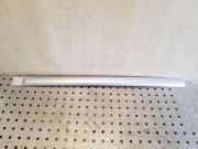 Türleiste hinten rechts