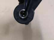 Einspritzdüse RENAULT ESPACE IV (JK0/1_) 2.2 dCi (JK0H) 0445110084
