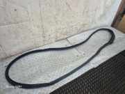 Türgummi rechts vorne BMW 4er Coupe (F32, F82) 7279742