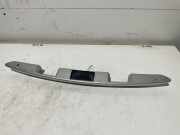 Kennzeichenbeleuchtung CITROËN C3 Pluriel (HB_) 1.6 P1012013569