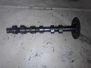 Auslassnockenwelle SKODA OCTAVIAII (1Z3) 2.0 TDI 16V 03E109571D