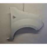 Kotflügel vorne rechts RENAULT KANGOO / GRAND KANGOO (KW0/1_) 1.5 dCi 110