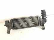 Ladeluftkühler FORD FOCUS (DAW, DBW) 1.8 Turbo DI / TDDi 1M509L440BA