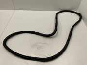 Dichtungsgummi der hinteren Tür (an der Karosserie) VW TIGUAN (5N_) 1.4 TSI 5N0867913