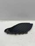Gitter vorne unten MERCEDES-BENZ A (W176) A 220 d (176.003) A1768850422