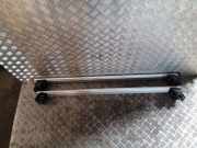 Dachreling links Audi Q5 (8R) 80A860019