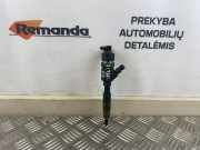 Düsenstöcke Suzuki Grand Vitara II (JT, TD, TE) 8200389369