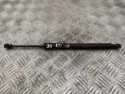 Heckklappe Gasdruckfeder rechts BMW 3 Coupe (E92) 320 d 51247129194 7129194