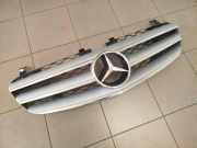 Gitter Grill vorne links MERCEDES-BENZ R (W251, V251) R 320 CDI 4-matic (251.022, 251.122) A2518800383